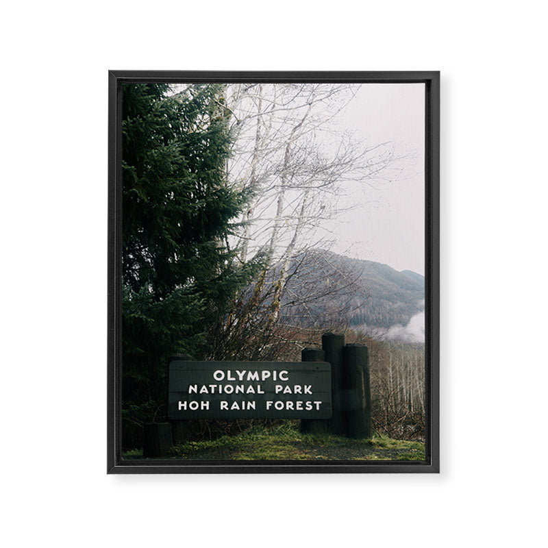 Olympic National Park Hoh Rain Forest Sign Framed Canvas Print Gallery Image 6