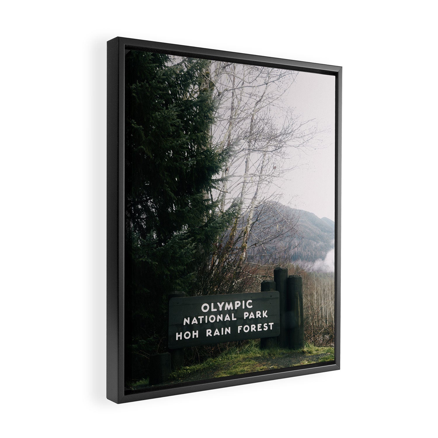 Olympic National Park Hoh Rain Forest Sign Framed Canvas Print Gallery Image 2
