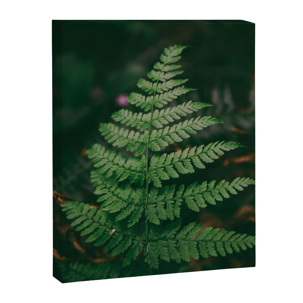 One Fern Canvas Print Gallery Image 6