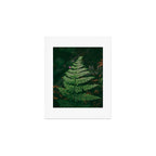One Fern Art Print Gallery Image 1