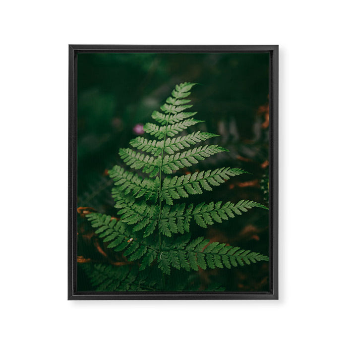 One Fern Framed Canvas Print Gallery Image 1