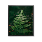 One Fern Framed Canvas Print Gallery Image 6