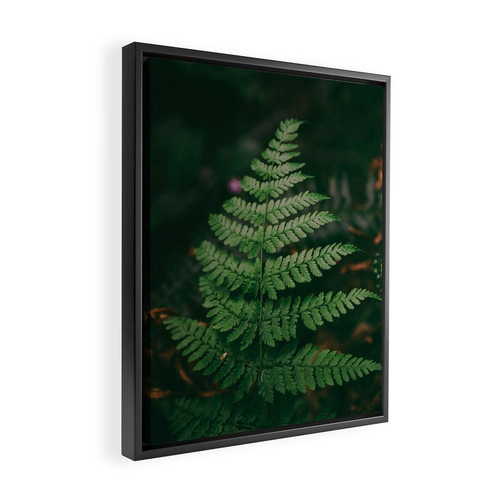 One Fern Framed Canvas Print Gallery Image 2