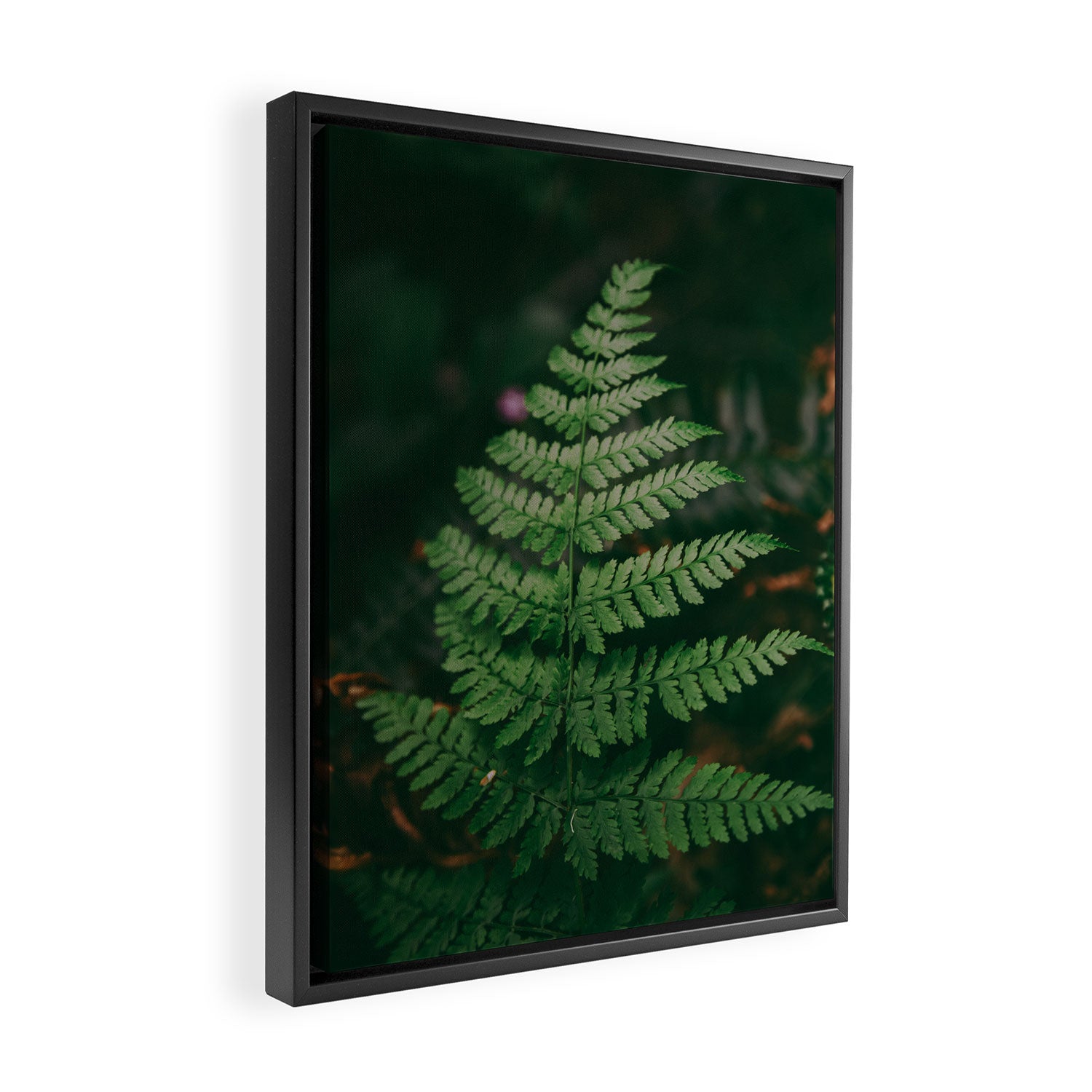One Fern Framed Canvas Print Gallery Image 2