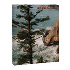 Oregon Coast IV Canvas Print Gallery Image 6
