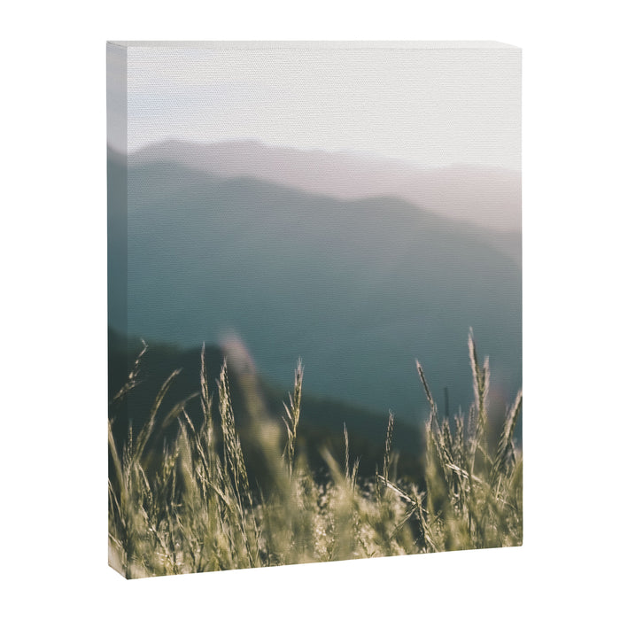 Oregon Coast Range Canvas Print Gallery Image 1