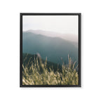 Oregon Coast Range Framed Canvas Print Gallery Image 6