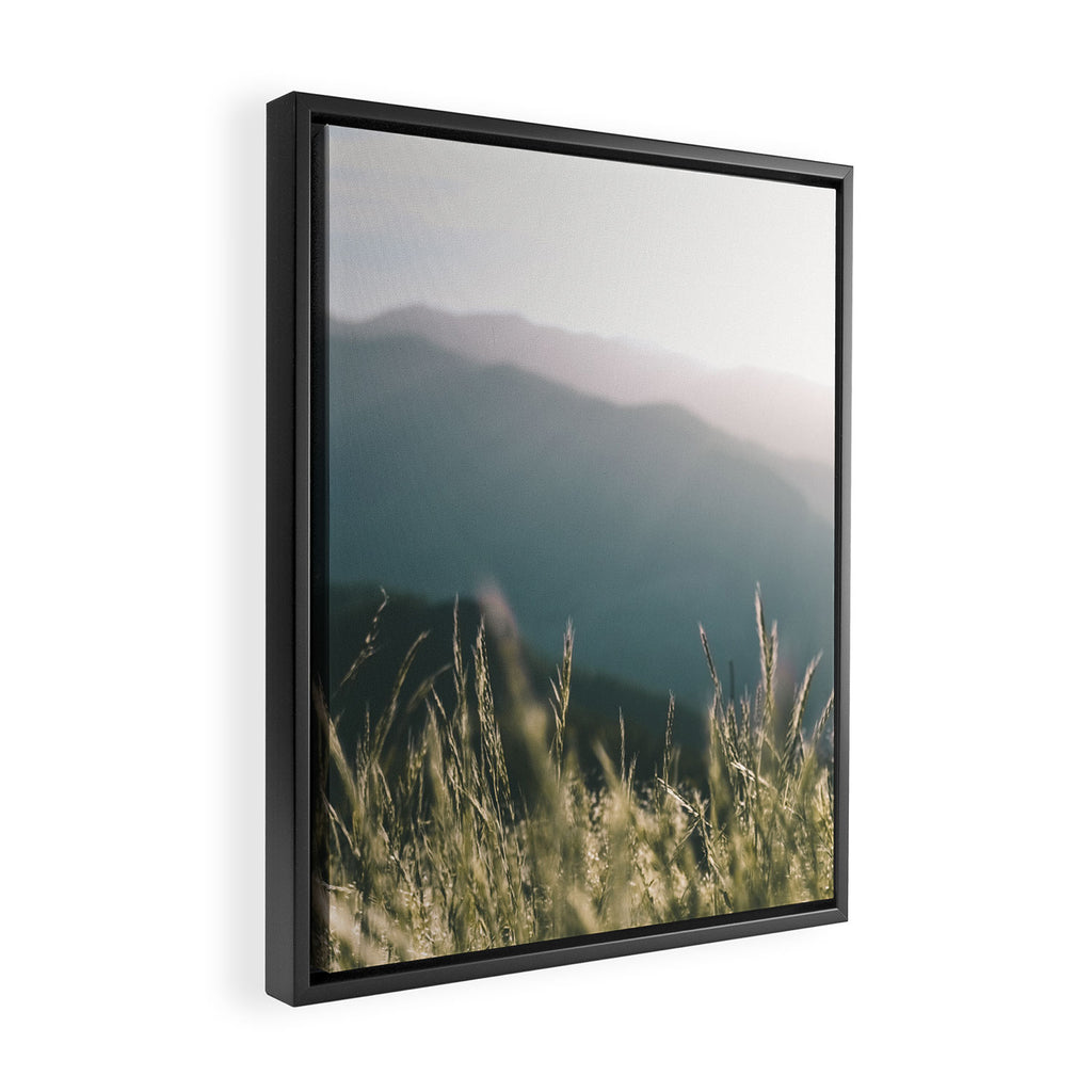 Oregon Coast Range Framed Canvas Print Gallery Image 2