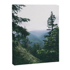 Oregon  Canvas Print Gallery Image 6