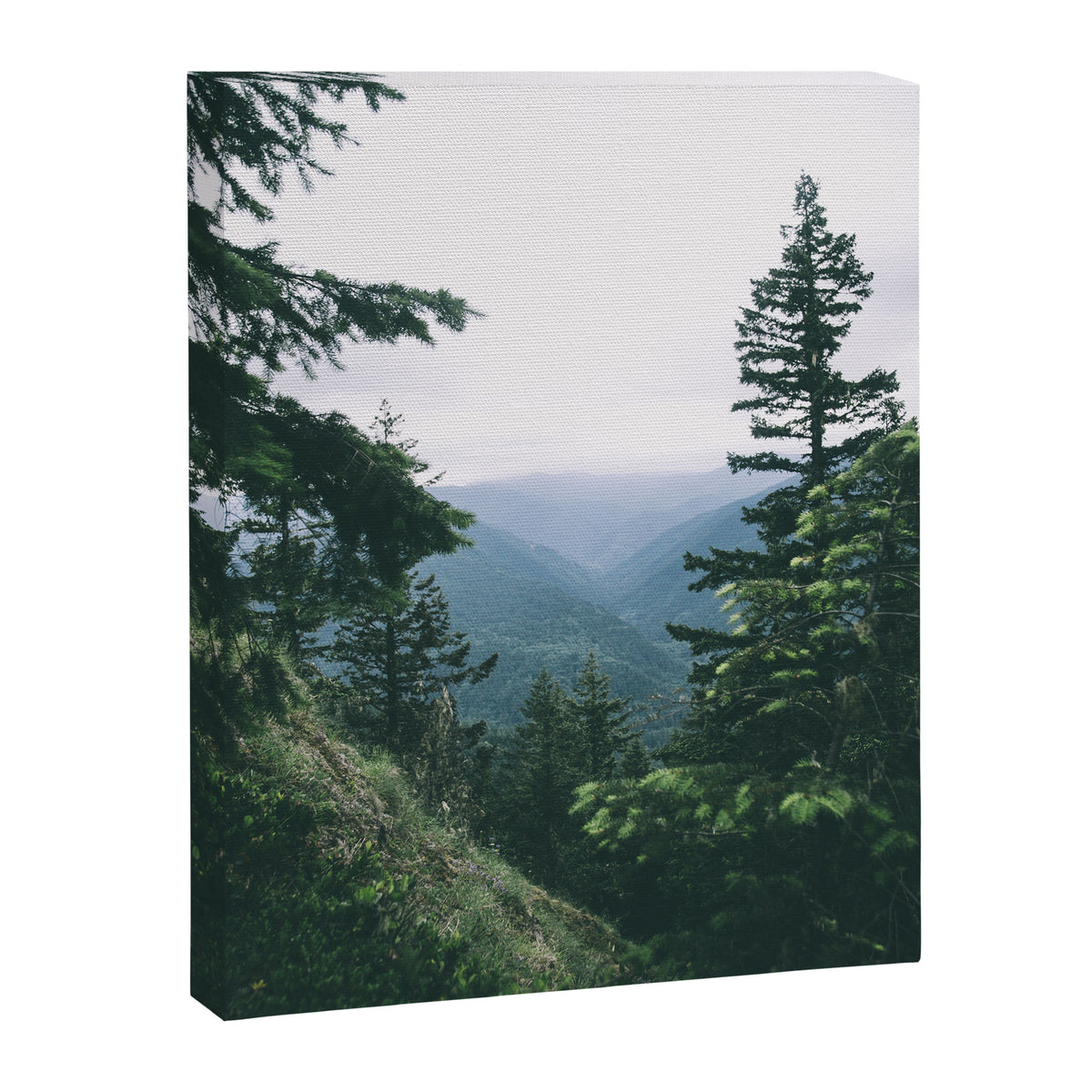 Oregon  Canvas Print Gallery Image 6