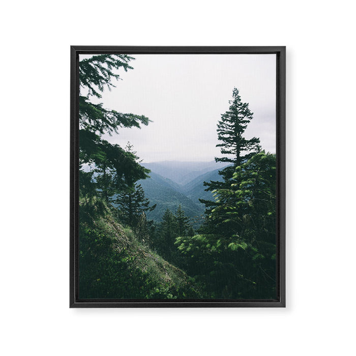 Oregon  Framed Canvas Print Gallery Image 1