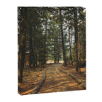 Over Here Canvas Print Gallery Image 6