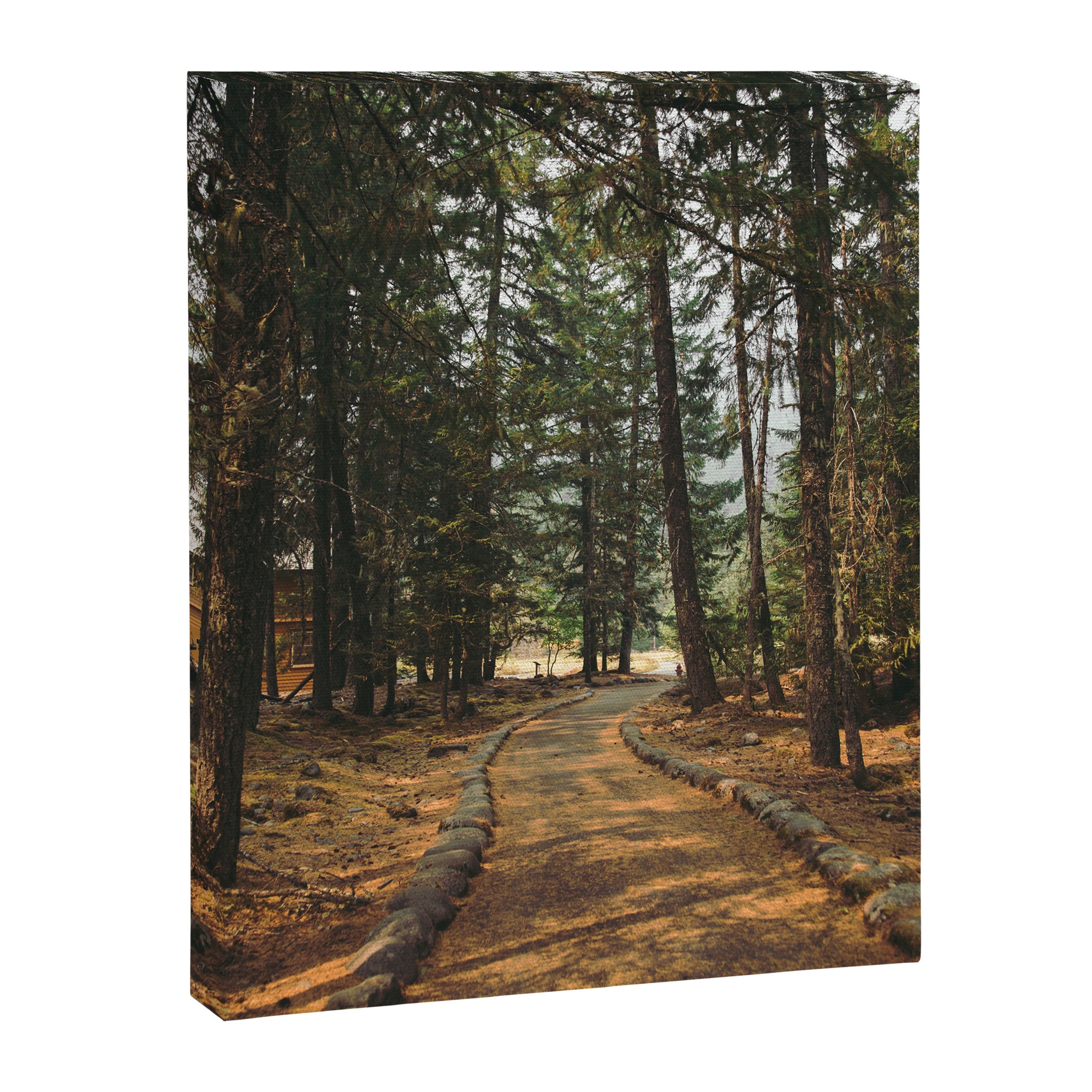 Over Here Canvas Print Gallery Image 6
