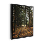 Over Here Framed Canvas Print Gallery Image 2