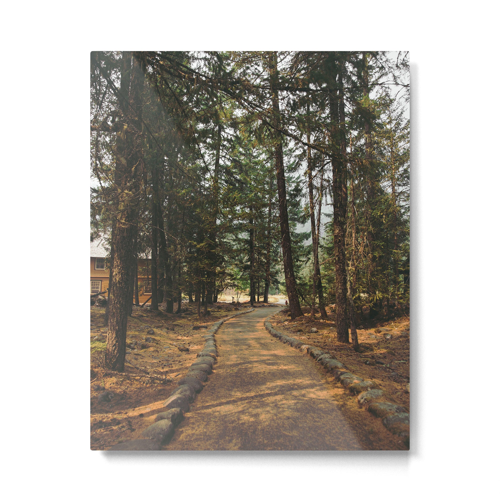 Over Here Metal Print Gallery Image 4