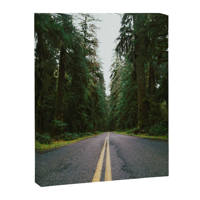 Pacific Northwest Rainforest Drive Canvas Print Gallery Image 1