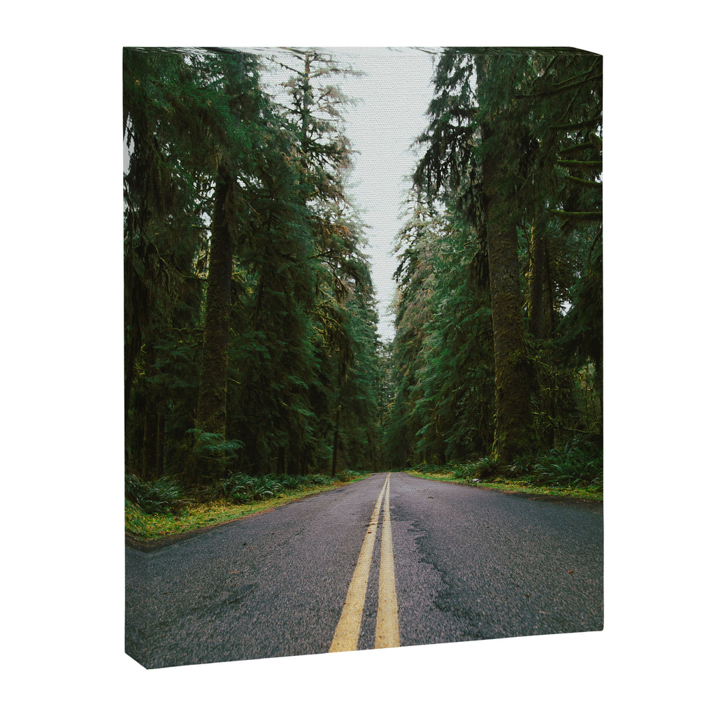 Pacific Northwest Rainforest Drive Canvas Print Gallery Image 6