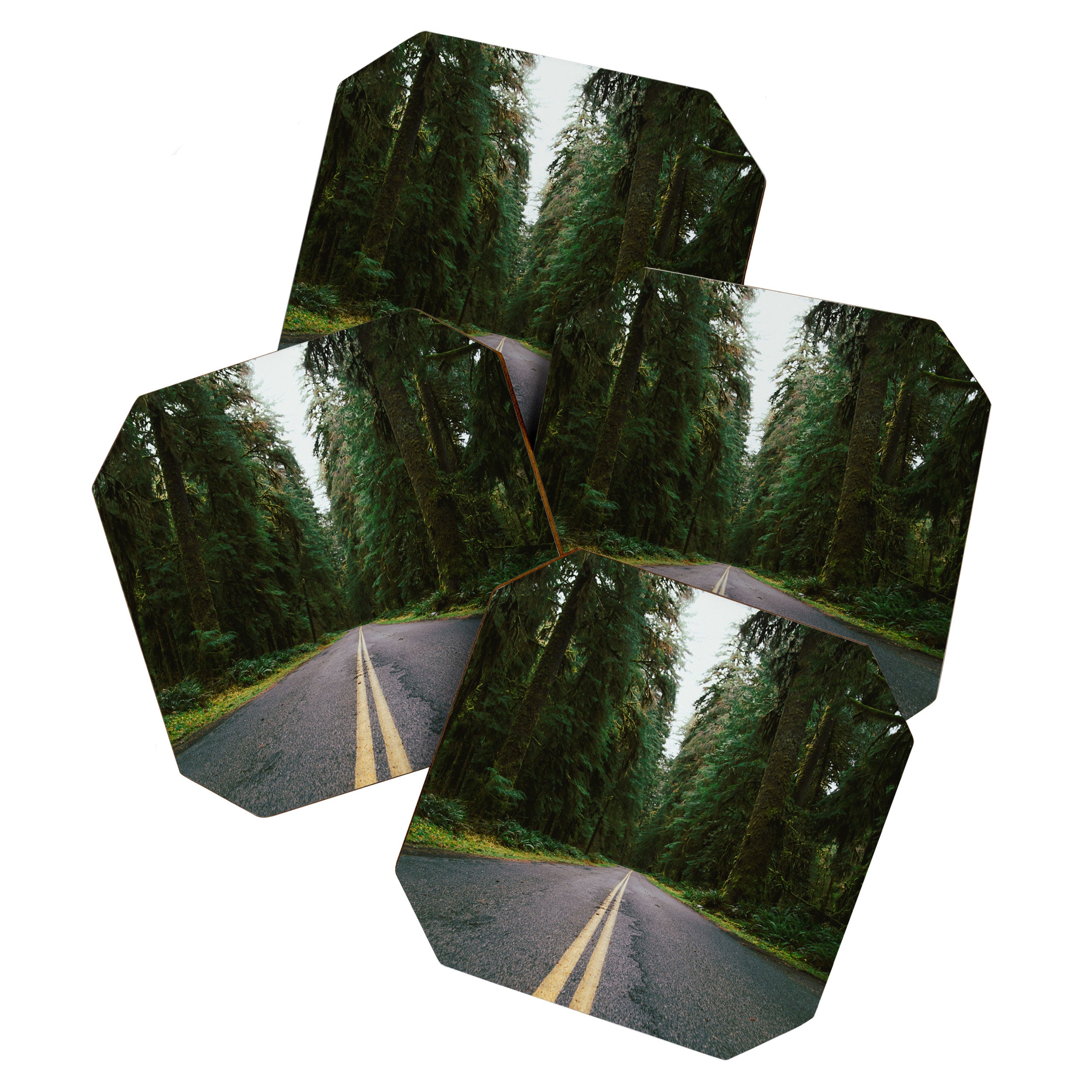 Pacific Northwest Rainforest Drive Coaster Gallery Image 1