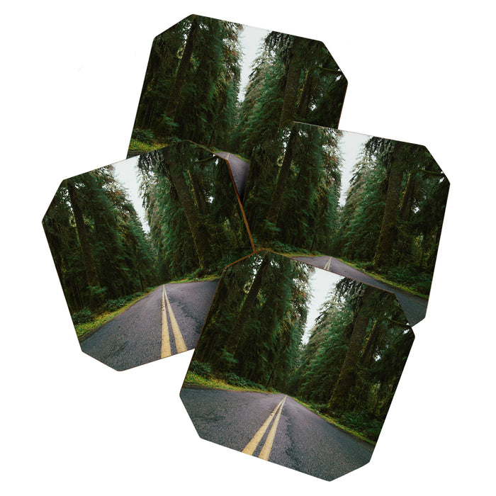 Pacific Northwest Rainforest Drive Coaster Gallery Image 1