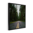 Pacific Northwest Rainforest Drive Framed Canvas Print Gallery Image 2