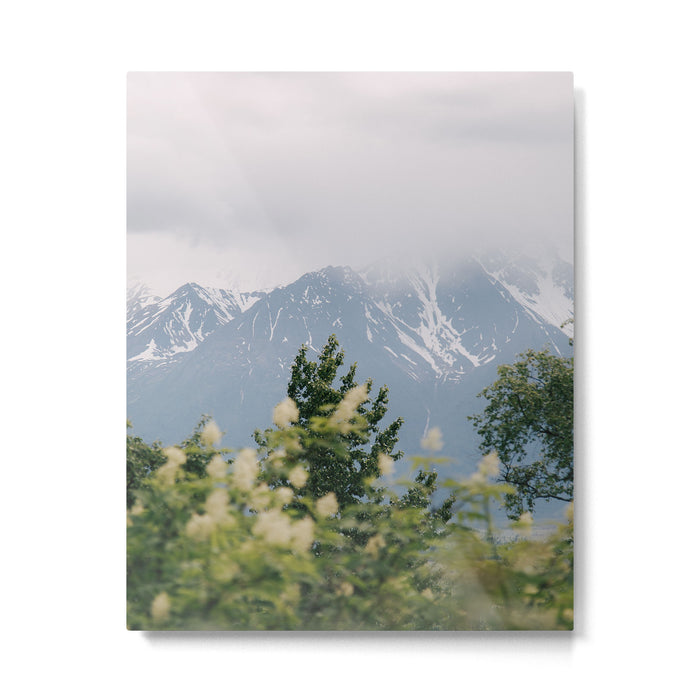 Peaceful Metal Print Gallery Image 1
