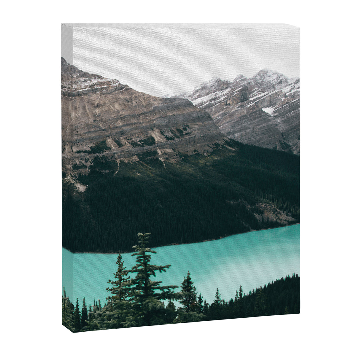 Peyto Lake II Canvas Print Gallery Image 6