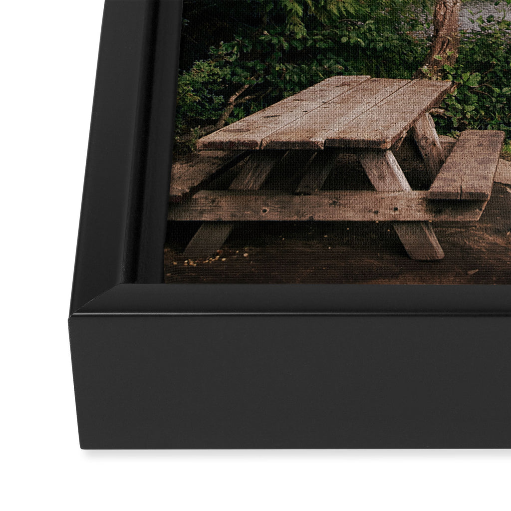 Picnic Lake Framed Canvas Print Gallery Image 3