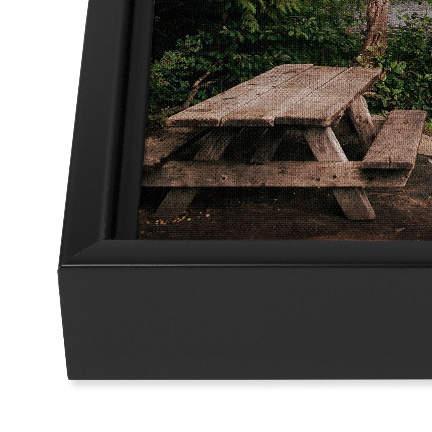 Picnic Lake Framed Canvas Print Gallery Image 3