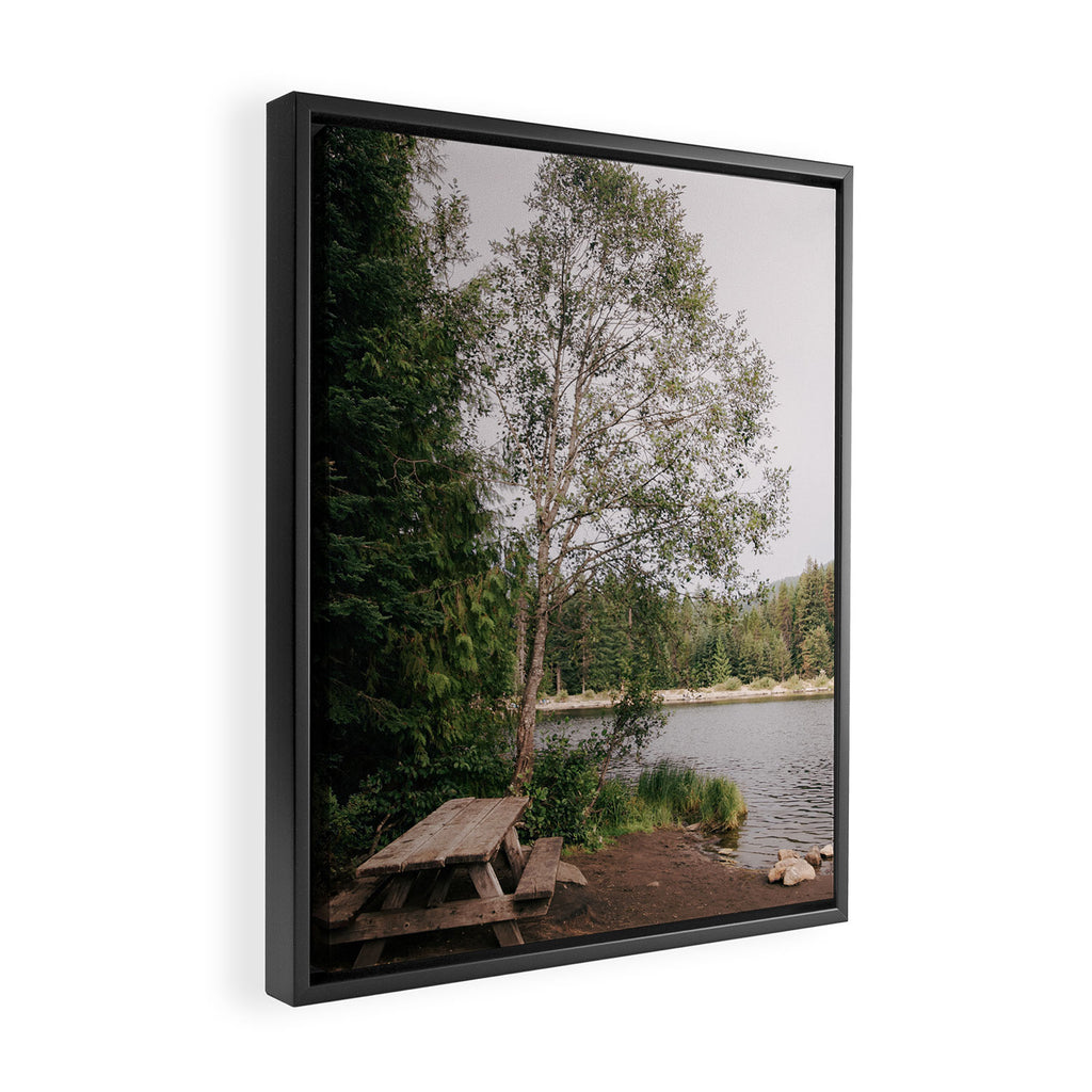 Picnic Lake Framed Canvas Print Gallery Image 2