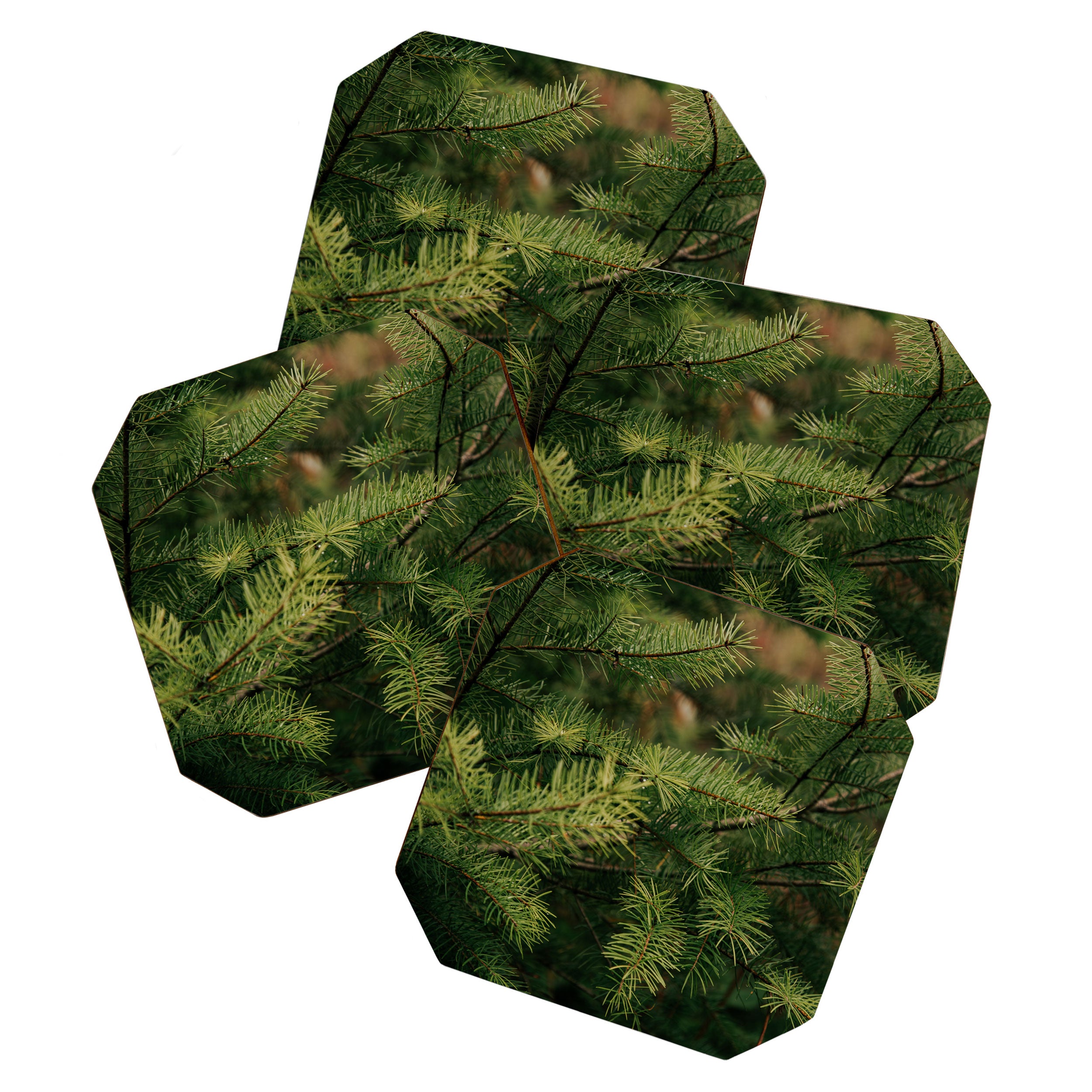 Pine Details Coaster Gallery Image 1
