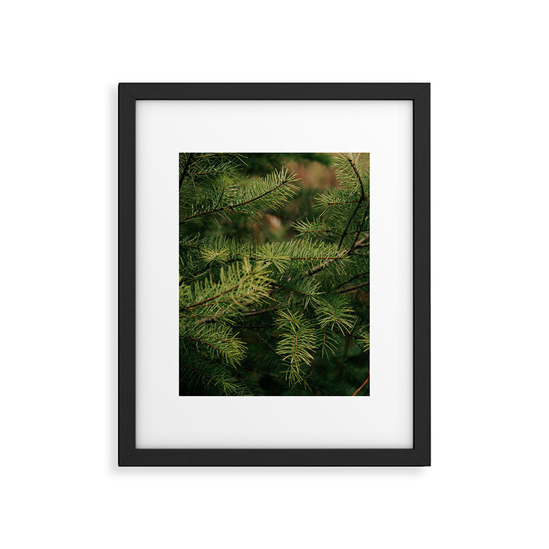 Pine Details Framed Art Print Gallery Image 5