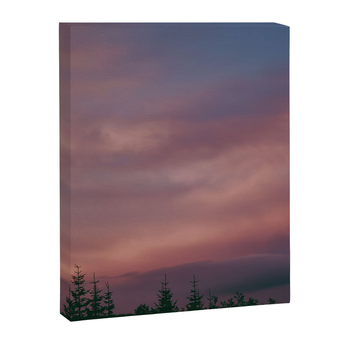 Pink Skies Canvas Print Gallery Image 1