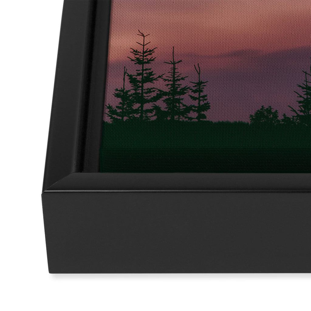 Pink Skies Framed Canvas Print Gallery Image 3