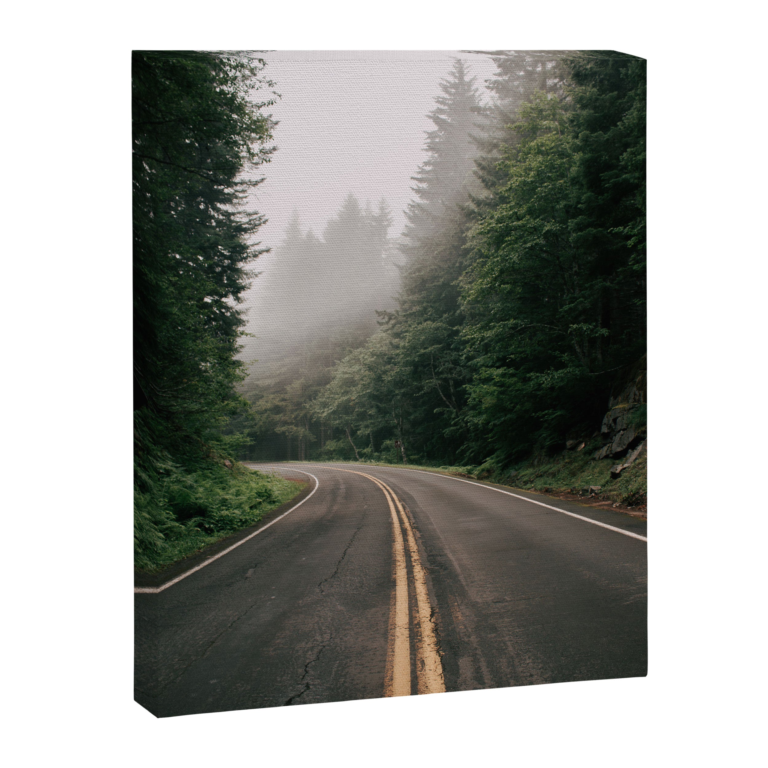 PNW Road Trip Canvas Print Gallery Image 6