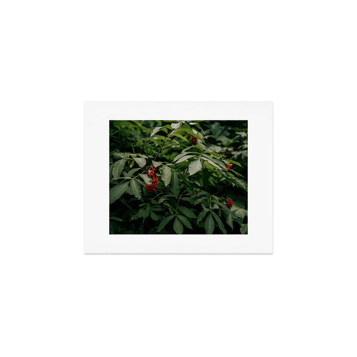 Red Elderberry Art Print Gallery Image 1