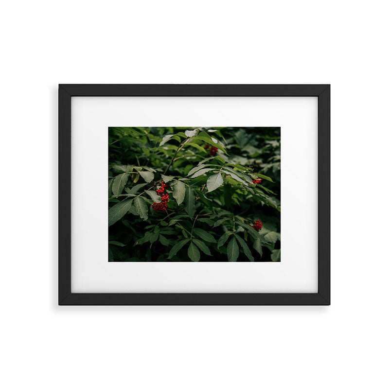 Red Elderberry Framed Art Print Gallery Image 5
