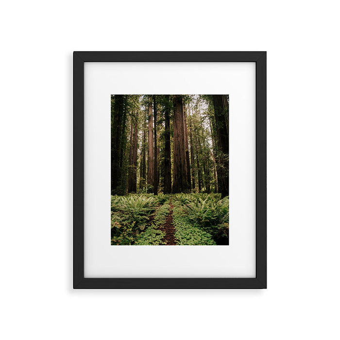 Redwood Trail Framed Art Print Gallery Image 1