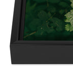 Ribes Lacustre Framed Canvas Print Gallery Image 3