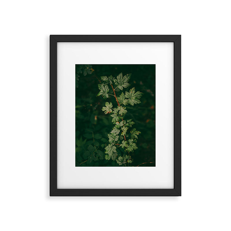 Ribes Lacustre Framed Art Print Gallery Image 5