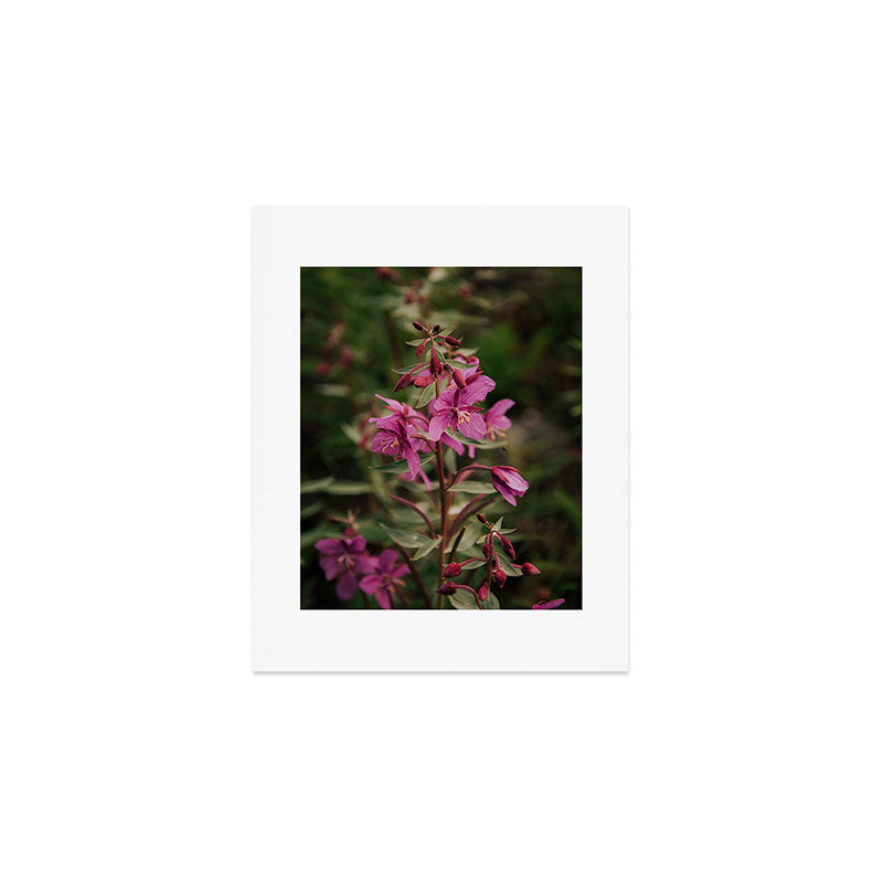 River Beauty Willowherb Art Print Gallery Image 1