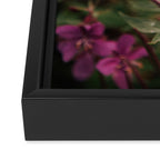 River Beauty Willowherb Framed Canvas Print Gallery Image 3