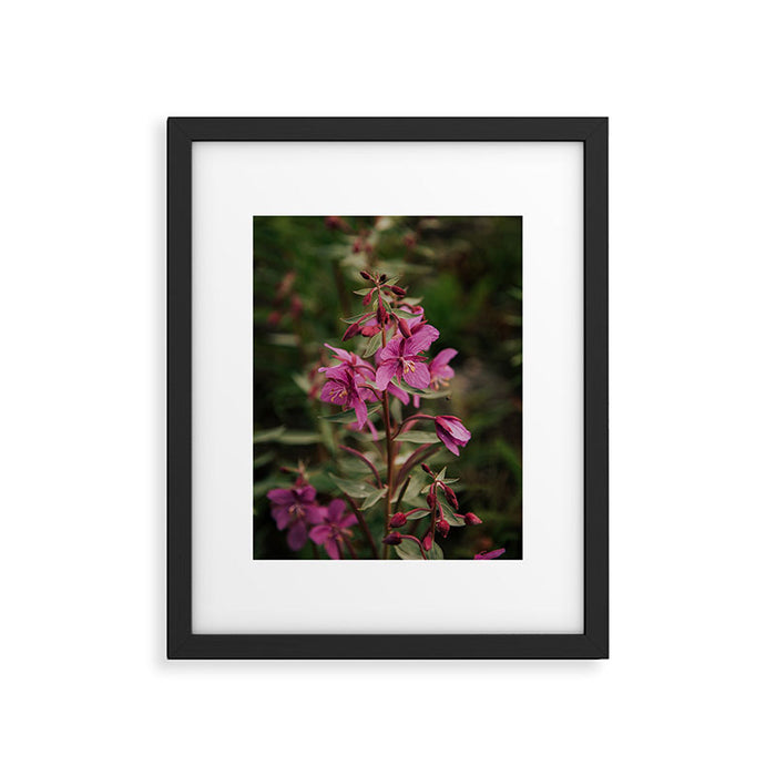 River Beauty Willowherb Framed Art Print Gallery Image 1