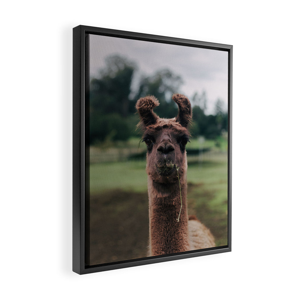 Rosabell Framed Canvas Print Gallery Image 2