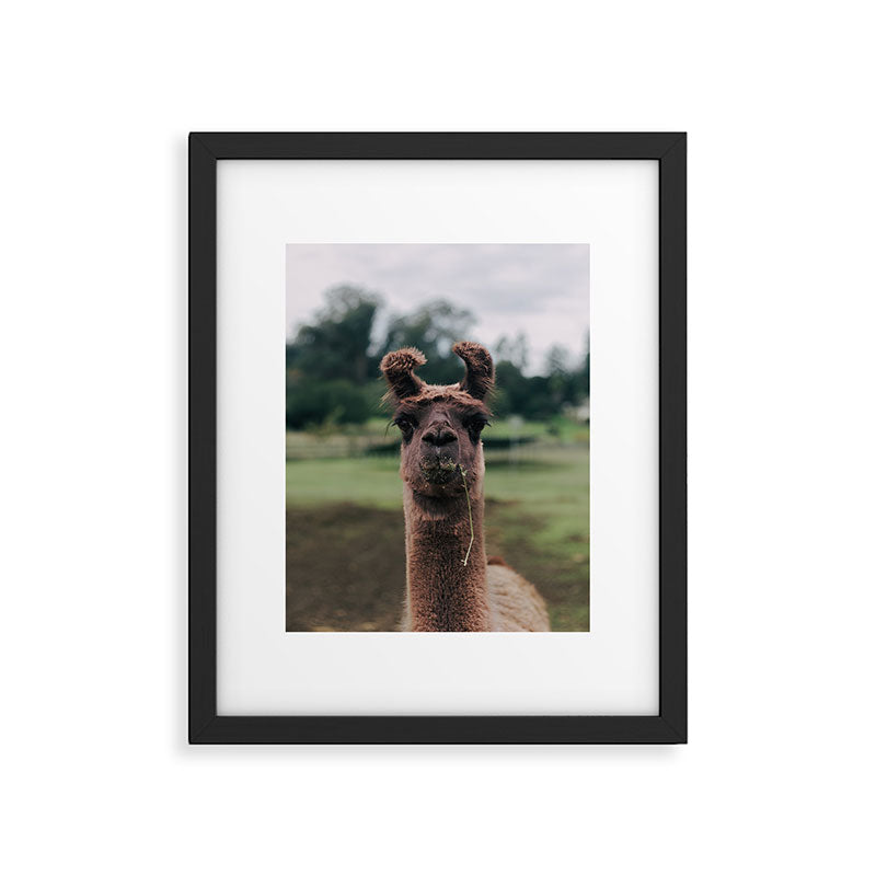 Rosabell Framed Art Print Gallery Image 5