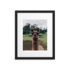 Rosabell Framed Art Print Gallery Image 5