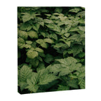 Rubus Canvas Print Gallery Image 6
