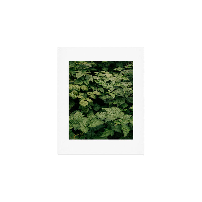 Rubus Art Print Gallery Image 1