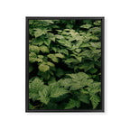 Rubus Framed Canvas Print Gallery Image 6
