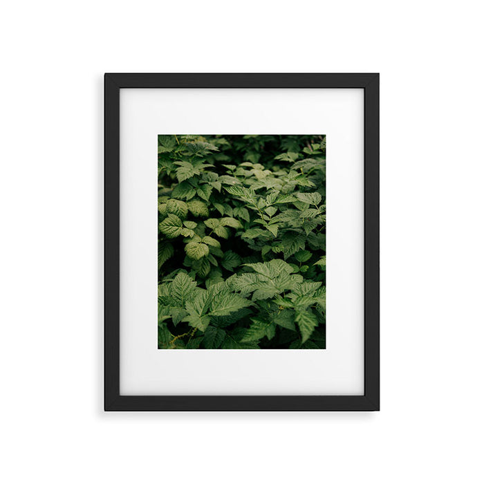 Rubus Framed Art Print Gallery Image 1
