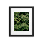 Rubus Framed Art Print Gallery Image 5
